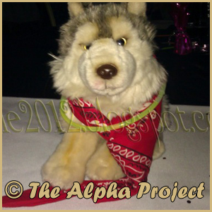 Association THE ALPHA PROJECT