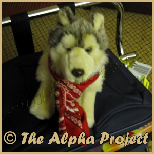 Association THE ALPHA PROJECT