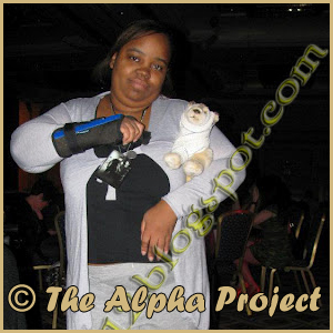 Association THE ALPHA PROJECT