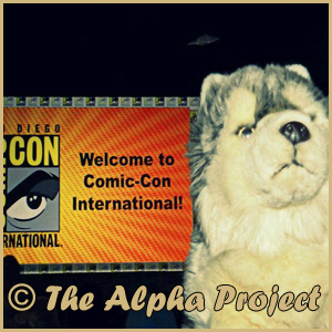 Association THE ALPHA PROJECT